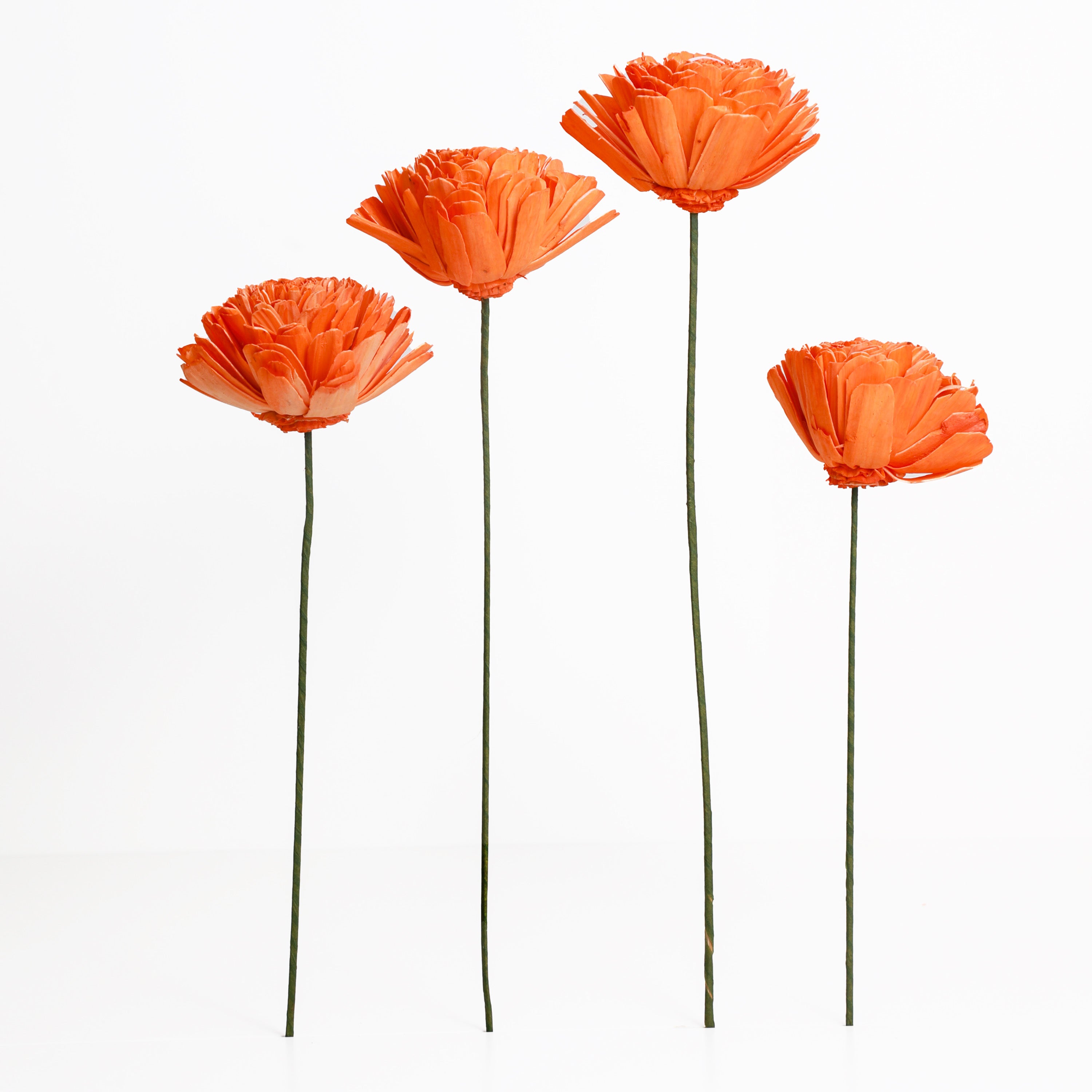 Orange Flower with Stem